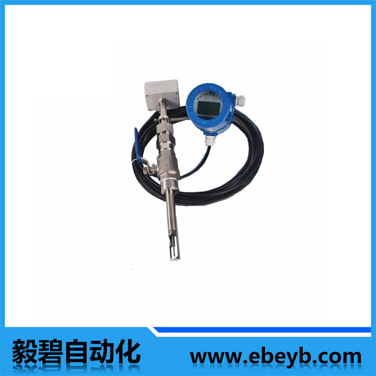 熱式氣體質(zhì)量流量計（插入分體式）